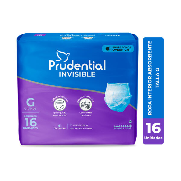 111030016_PRUDENTIAL_INV_GX16-1