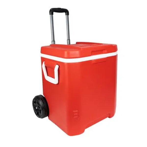 COOLER31QT-800x